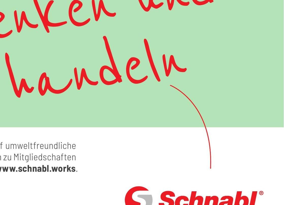 USA Unterputzschelle automatisch